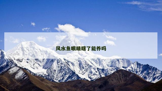 风水鱼眼睛瞎了能养吗