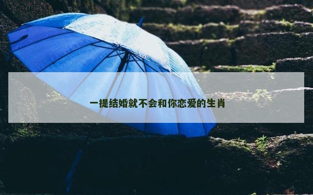 一提结婚就不会和你恋爱的生肖