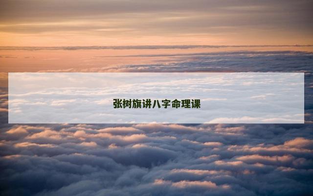 张树旗讲八字命理课
