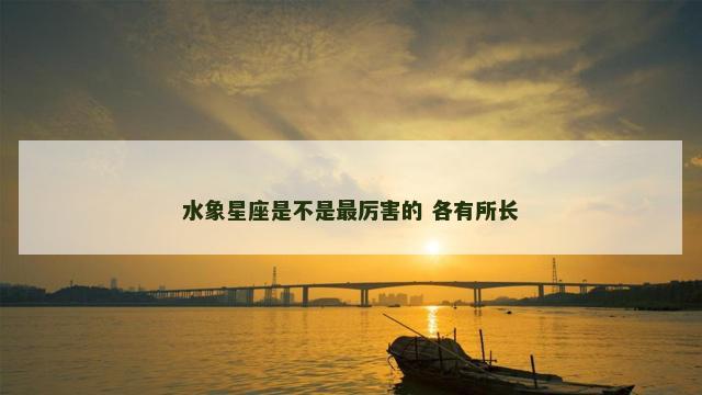水象星座是不是最厉害的 各有所长