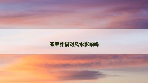 家里养猫对风水影响吗