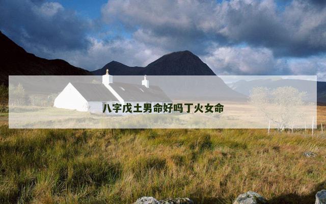 八字戊土男命好吗丁火女命