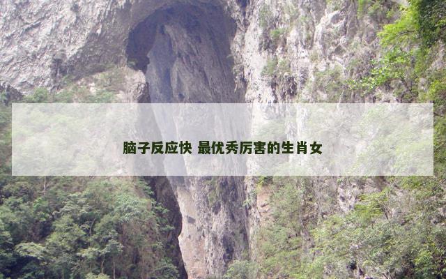 脑子反应快 最优秀厉害的生肖女