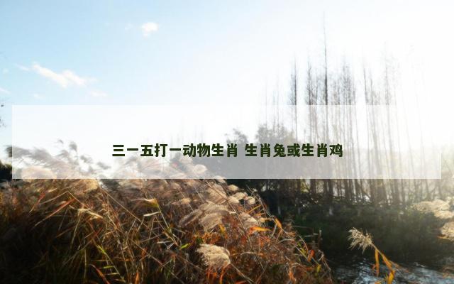 三一五打一动物生肖 生肖兔或生肖鸡
