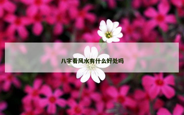 八字看风水有什么好处吗
