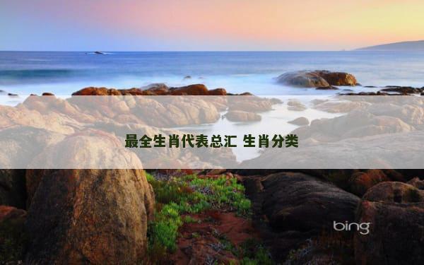 最全生肖代表总汇 生肖分类