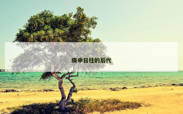 庚申日柱的后代