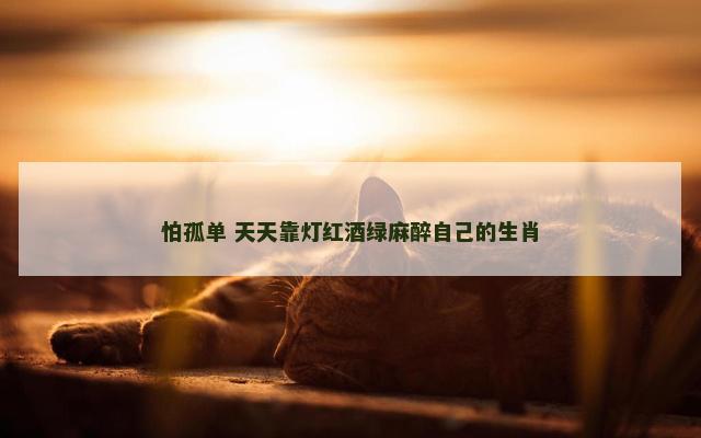 怕孤单 天天靠灯红酒绿麻醉自己的生肖