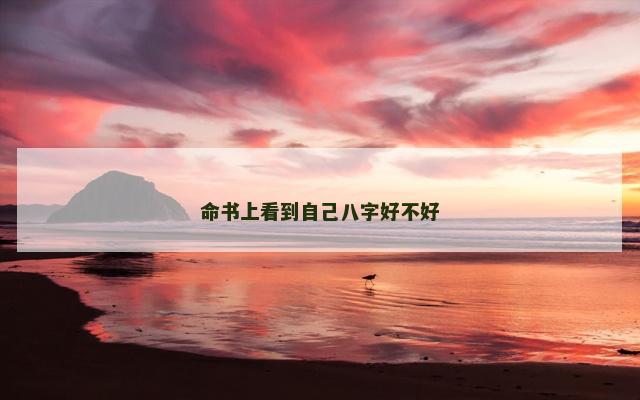 命书上看到自己八字好不好
