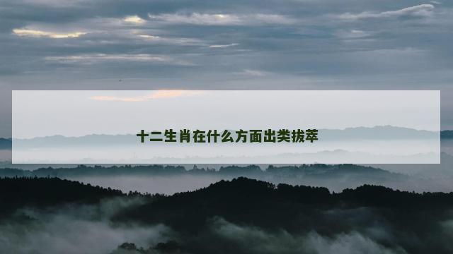 十二生肖在什么方面出类拔萃