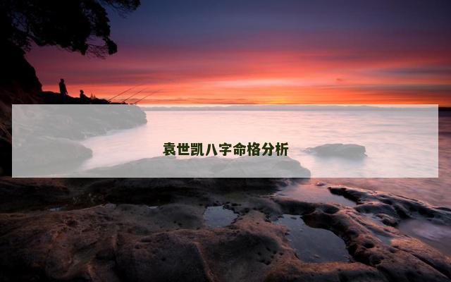 袁世凯八字命格分析