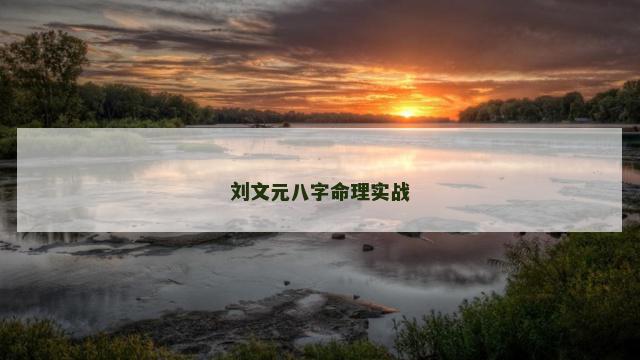 刘文元八字命理实战