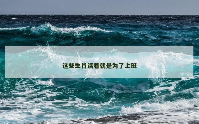 这些生肖活着就是为了上班