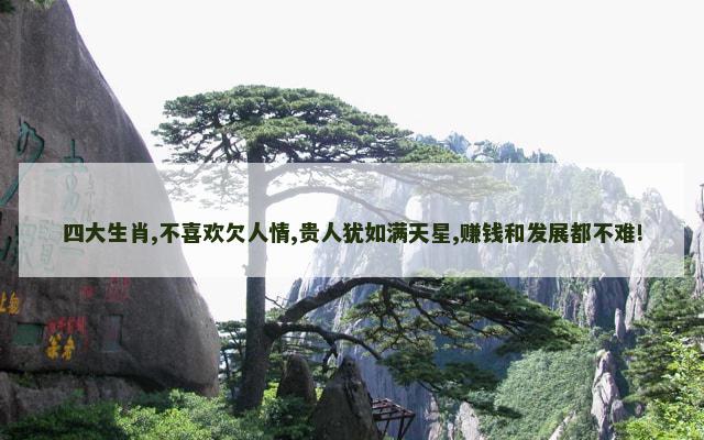 四大生肖,不喜欢欠人情,贵人犹如满天星,赚钱和发展都不难!