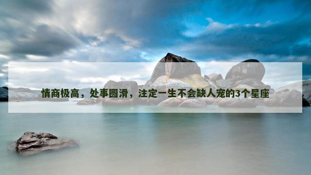 情商极高，处事圆滑，注定一生不会缺人宠的3个星座