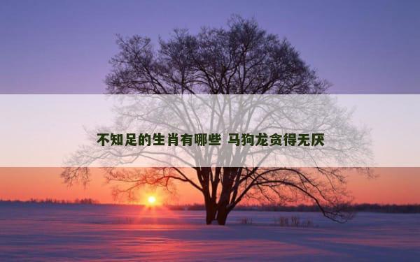 不知足的生肖有哪些 马狗龙贪得无厌