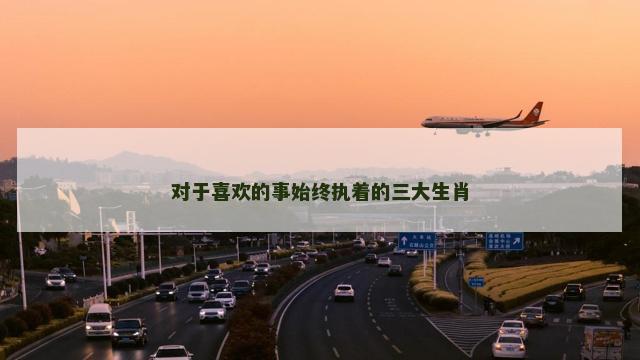 对于喜欢的事始终执着的三大生肖