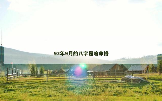 93年9月的八字是啥命格