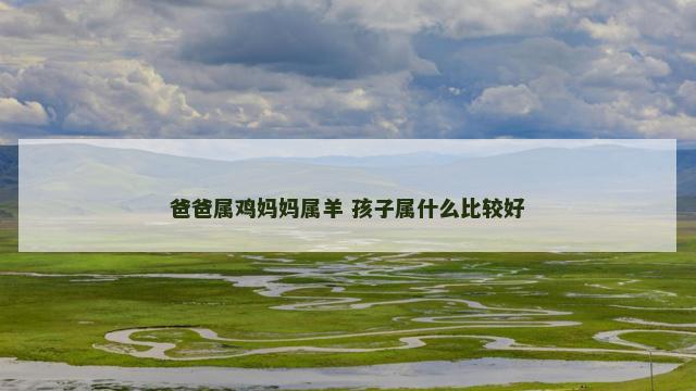 爸爸属鸡妈妈属羊 孩子属什么比较好
