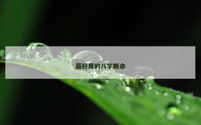 最好用的八字断命