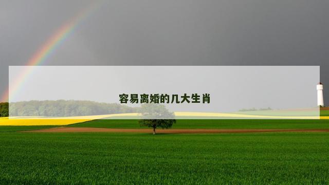 容易离婚的几大生肖