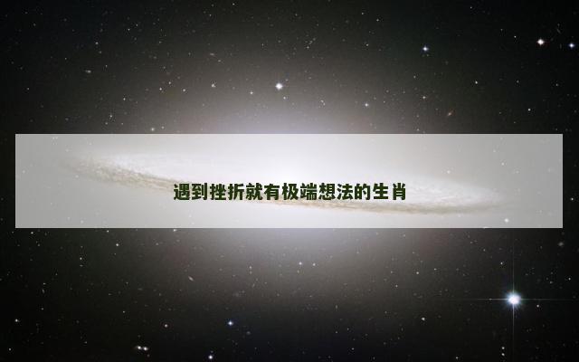 遇到挫折就有极端想法的生肖