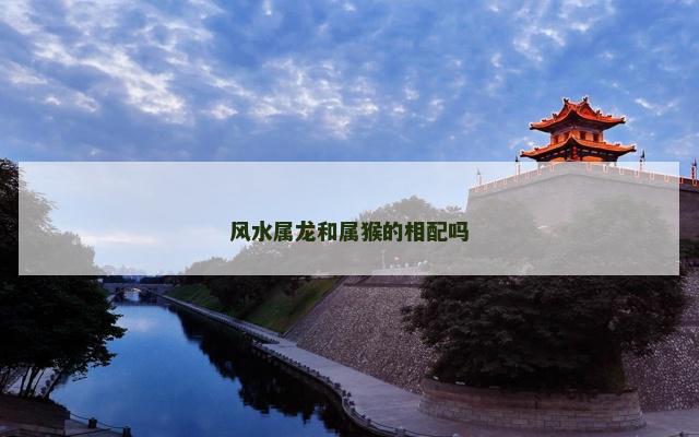 风水属龙和属猴的相配吗