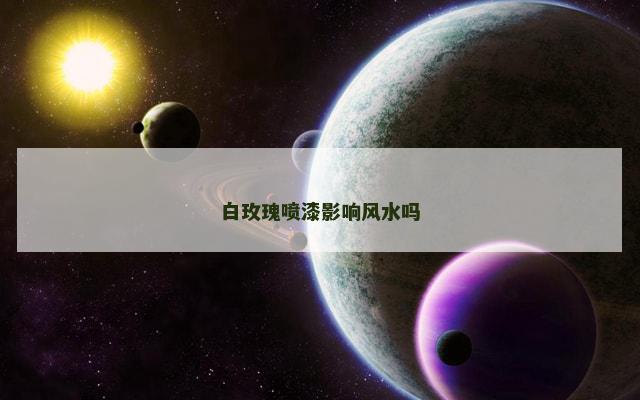 白玫瑰喷漆影响风水吗