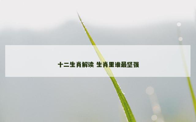 十二生肖解读 生肖里谁最坚强