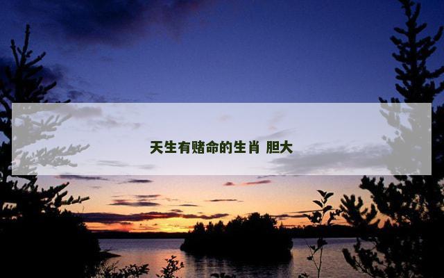 天生有赌命的生肖 胆大