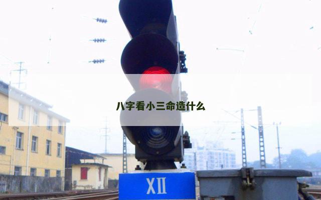 八字看小三命造什么