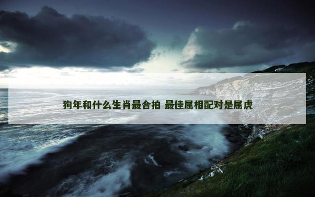 狗年和什么生肖最合拍 最佳属相配对是属虎