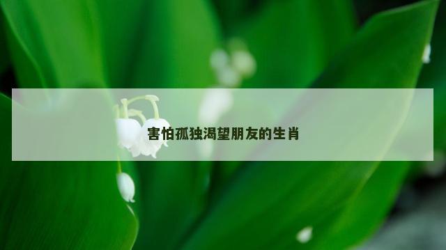 害怕孤独渴望朋友的生肖