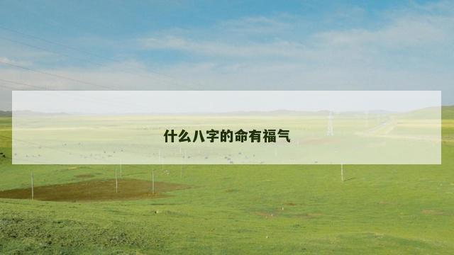 什么八字的命有福气