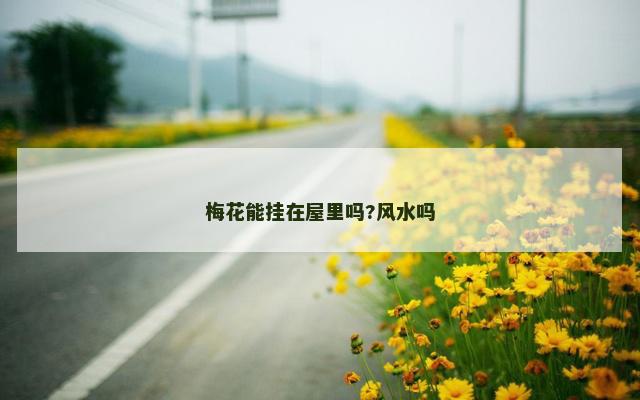梅花能挂在屋里吗?风水吗