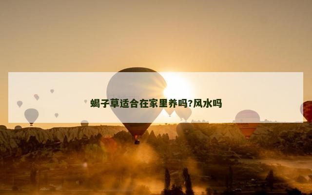 蝎子草适合在家里养吗?风水吗