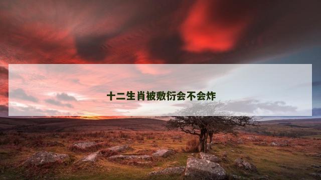 十二生肖被敷衍会不会炸