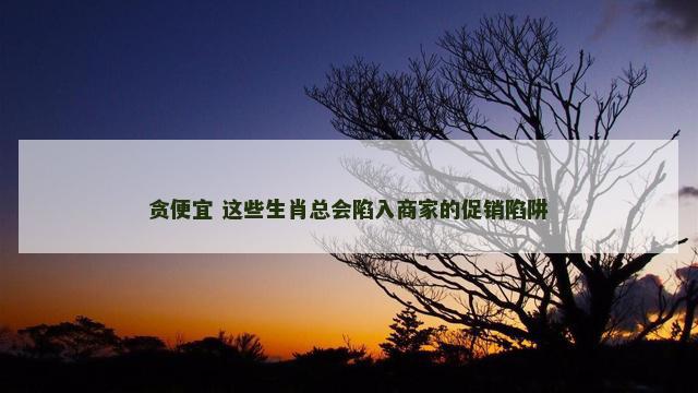 贪便宜 这些生肖总会陷入商家的促销陷阱
