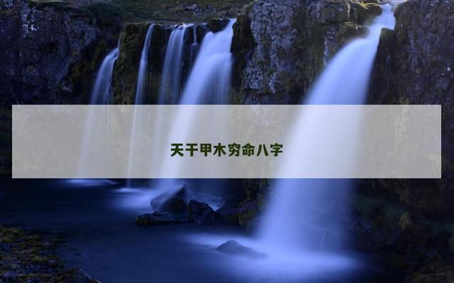 天干甲木穷命八字