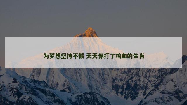 为梦想坚持不懈 天天像打了鸡血的生肖