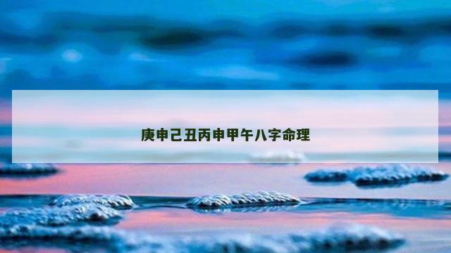 庚申己丑丙申甲午八字命理