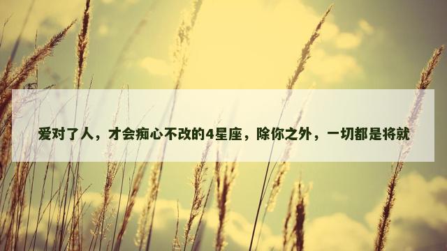 爱对了人，才会痴心不改的4星座，除你之外，一切都是将就