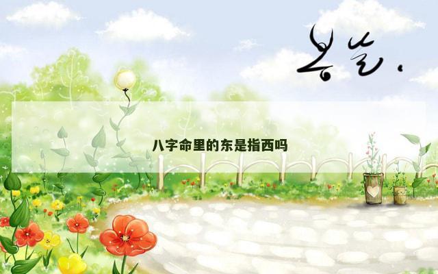 八字命里的东是指西吗