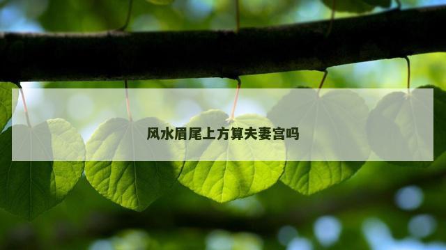 风水眉尾上方算夫妻宫吗