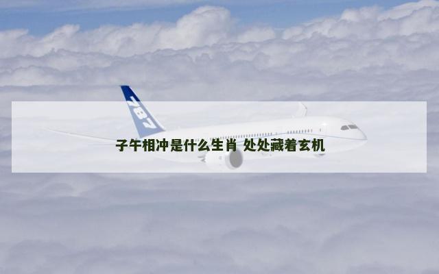 子午相冲是什么生肖 处处藏着玄机