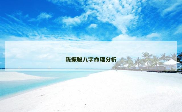 陈振聪八字命理分析