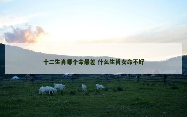 十二生肖哪个命最差 什么生肖女命不好