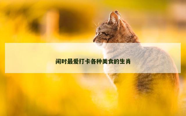 闲时最爱打卡各种美食的生肖