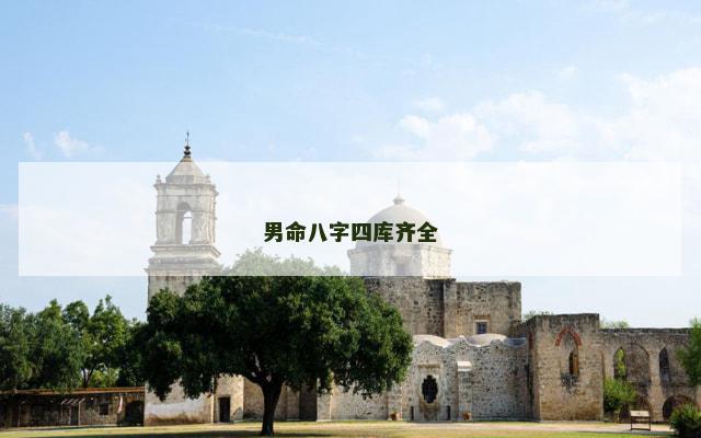 男命八字四库齐全