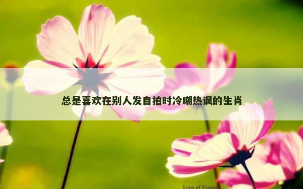 总是喜欢在别人发自拍时冷嘲热讽的生肖